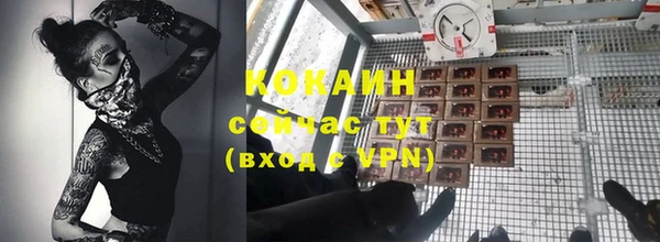 винт Козельск